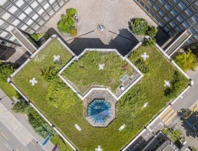 groendak voor bedrijven luchtbeeld